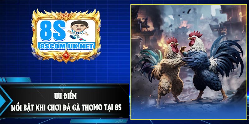 Ưu Điểm Nổi Bật Khi Chơi Đá Gà Thomo Tại 8S