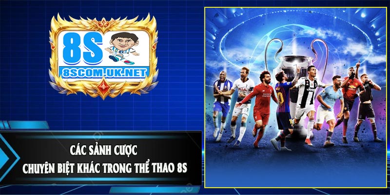 Các Sảnh Cược Chuyên Biệt Khác Trong Thể Thao 8S