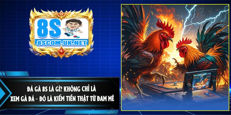 Đá Gà 8S Là Gì? Không Chỉ Là Xem Gà Đá – Đó Là Kiếm Tiền Thật Từ Đam Mê