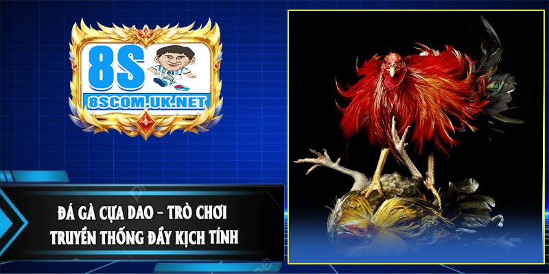 Đá Gà Cựa Dao – Trò Chơi Truyền Thống Đầy Kịch Tính