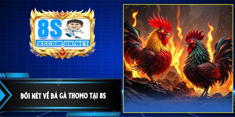 Đôi Nét Về Đá Gà Thomo Tại 8S