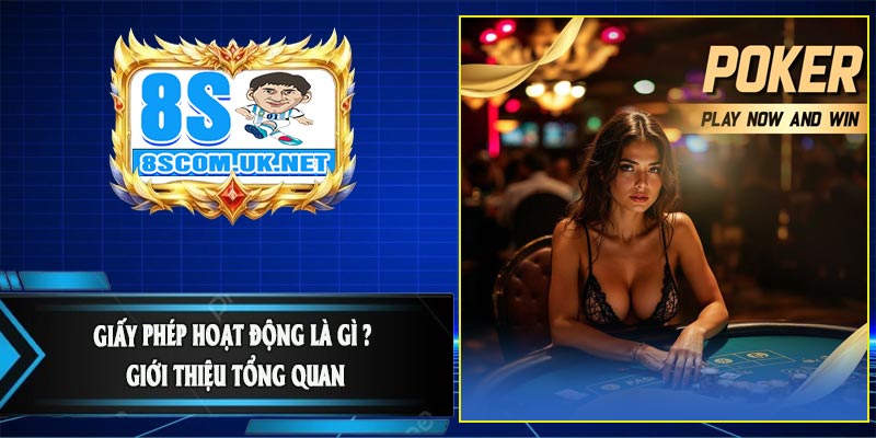 Giấy Phép Hoạt Động Là Gì ? Giới Thiệu Tổng Quan