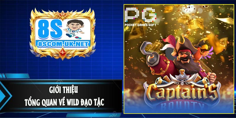 Giới Thiệu Tổng Quan Về Wild Đạo Tặc