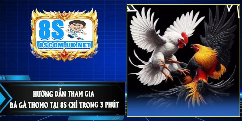 Hướng Dẫn Tham Gia Đá Gà Thomo Tại 8S Chỉ Trong 3 Phút