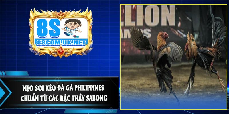 Mẹo Soi Kèo Đá Gà Philippines Chuẩn Từ Các Bậc Thầy Sabong