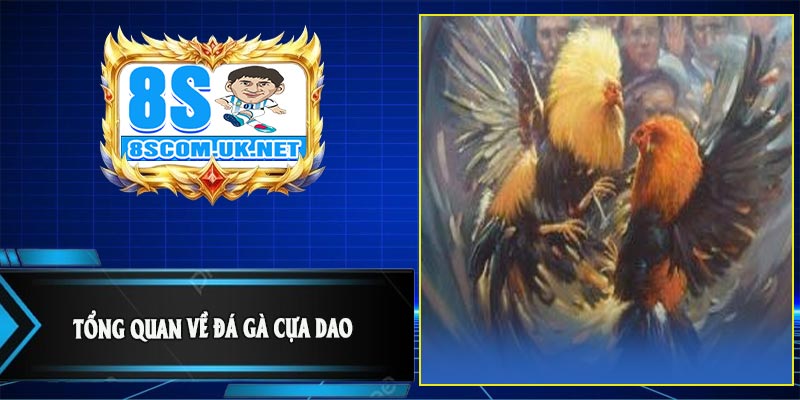 Tổng Quan Về Đá Gà Cựa Dao