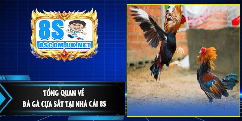 Tổng Quan Về Đá Gà Cựa Sắt tại Nhà Cái 8S