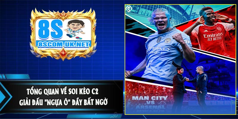 Tổng Quan Về Soi Kèo C2 – Giải Đấu "Ngựa Ô" Đầy Bất Ngờ